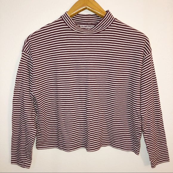 Everlane Tops Everlane Cropped Mockneck Striped Tee S Burgundy Poshmark